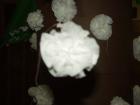 2c_2