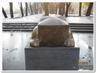 Vlakom-U -Karlovac-91